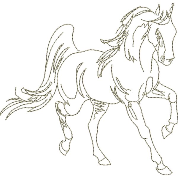 WS598 48 Thumbnail