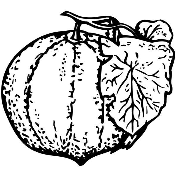 FRUIT007 Thumbnail